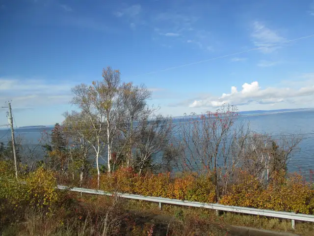 PRIVATE SALE - Photo 10