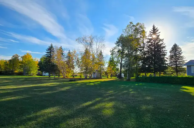 3 BR Bungalow in a peaceful country setting w/ 80 acres land - Photo 4