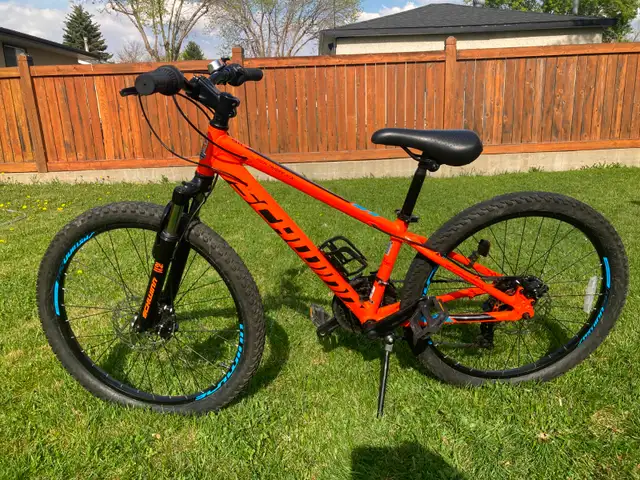 Schwinn Mountain Bike 24'