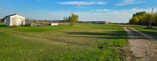 80 acres land with 3 BR bungalow & farmyard - Photo 4