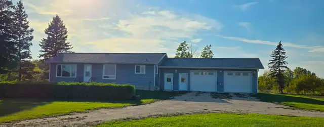 80 acres land with 3 BR bungalow & farmyard - Photo 5