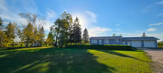 80 acres land with 3 BR bungalow & farmyard - Photo 6