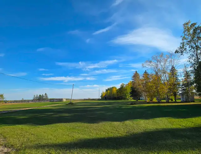 80 acres land with 3 BR bungalow & farmyard - Photo 8