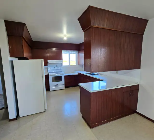 80 acres land with 3 BR bungalow & farmyard - Photo 13