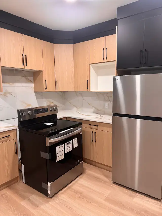 New Basement suite for rent in a new house in Glenridding Ravine - Photo 2