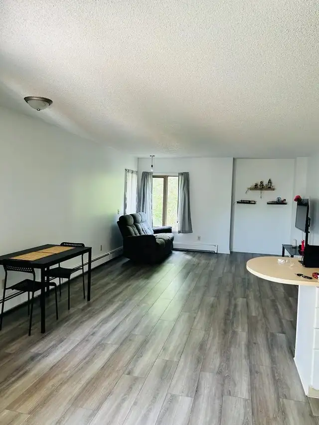 2-Bedroom Apartment For Rent Downtown Edmonton - Photo 5