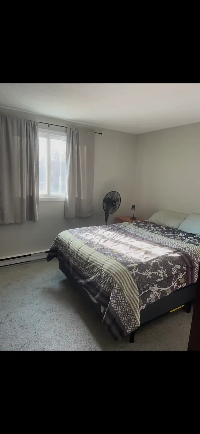 Sublet, 1 Bedroom, May 1st - Photo 3