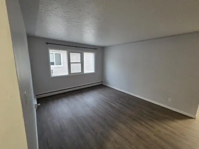 Newly Renovated 1 Bedroom for Rent - Photo 7