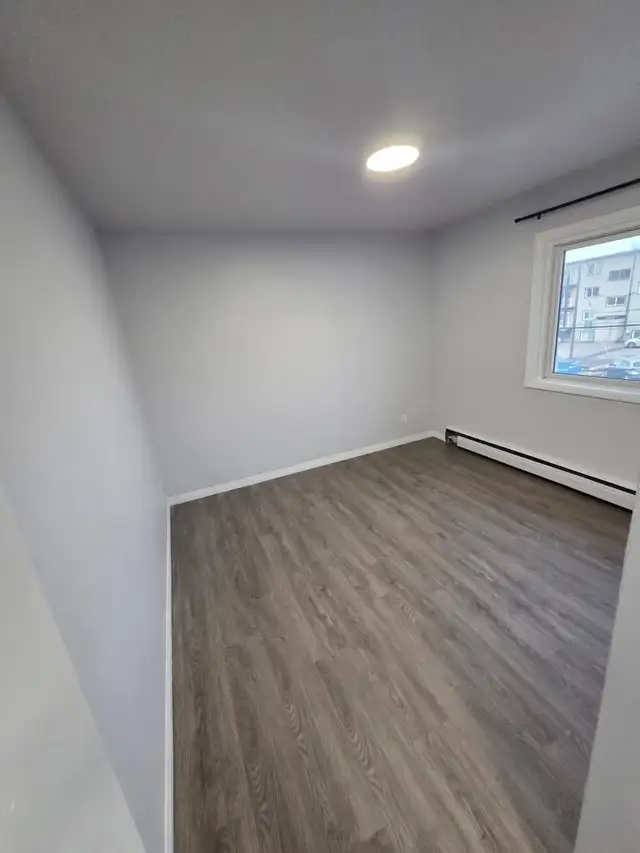 Newly Renovated 1 Bedroom for Rent - Photo 12