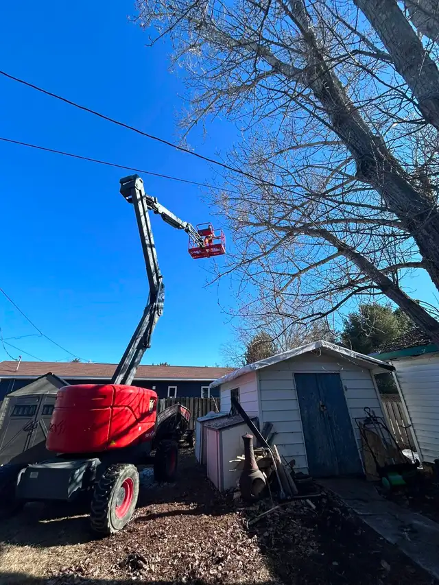 Commercial/ Residentual Lawn Care - Photo 3