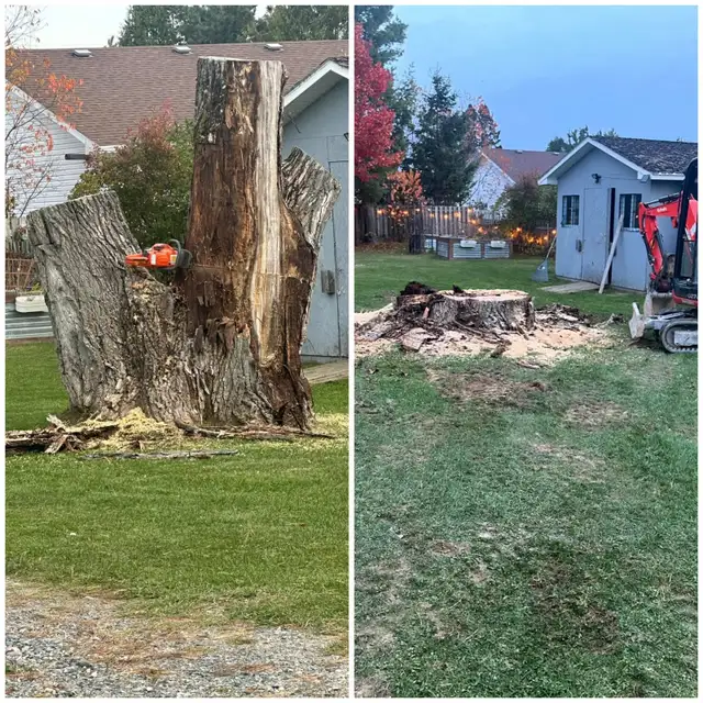 Commercial/ Residentual Lawn Care - Photo 4