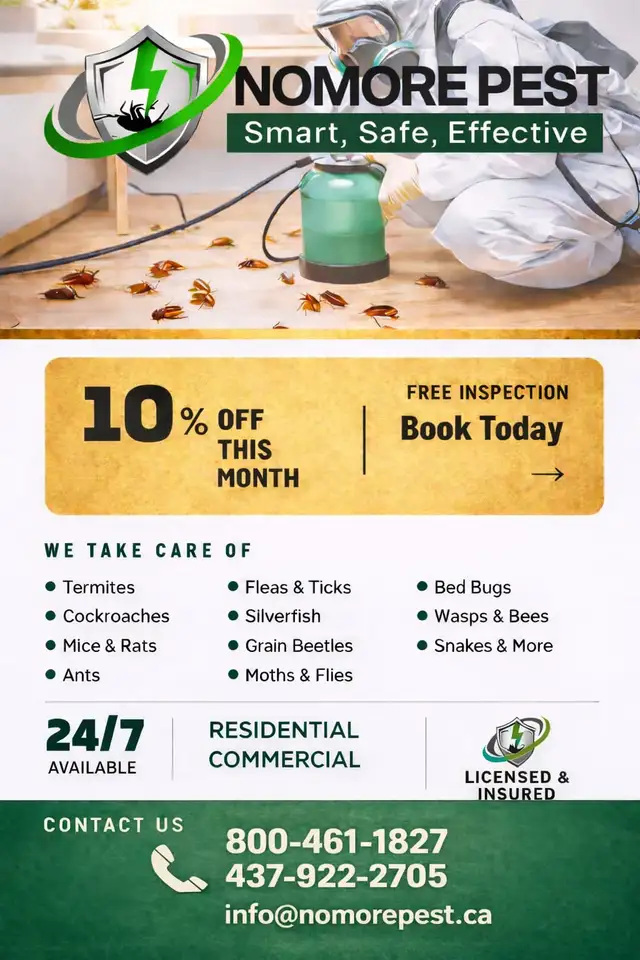 Cockroaches, Bed Bugs, Mice? Call Nomore Pest Today!