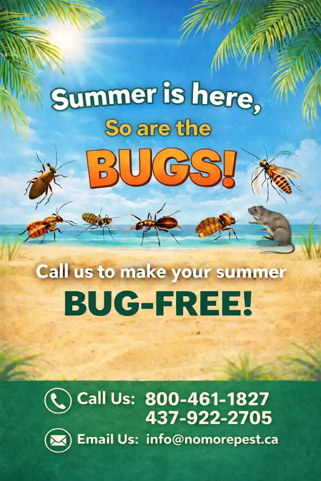 Cockroaches, Bed Bugs, Mice? Call Nomore Pest Today! - Photo 2