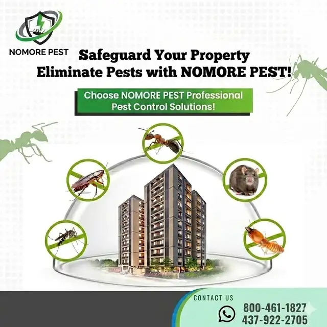 Cockroaches, Bed Bugs, Mice? Call Nomore Pest Today! - Photo 4