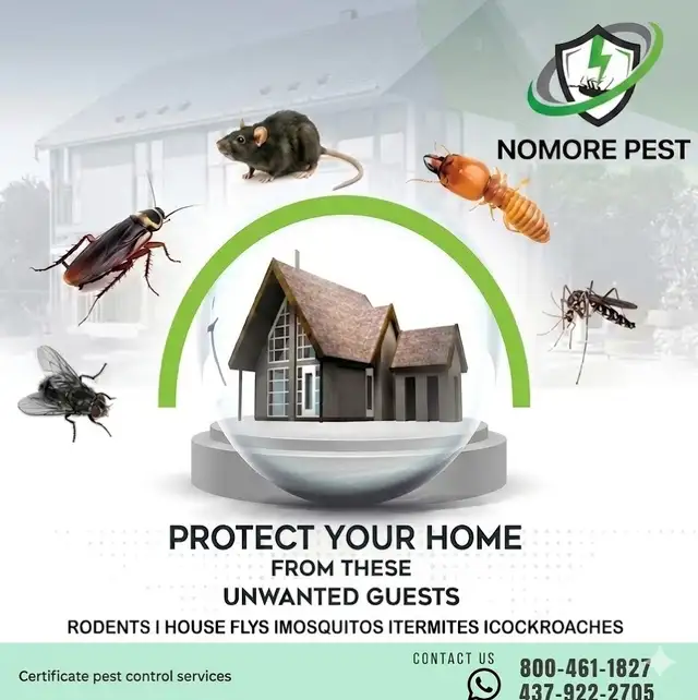 Cockroaches, Bed Bugs, Mice? Call Nomore Pest Today! - Photo 5