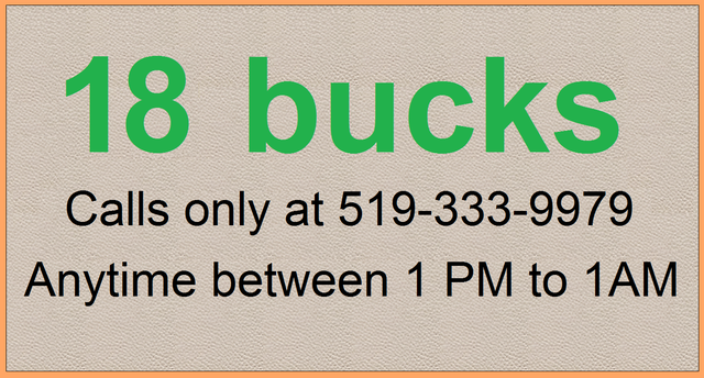 PALM TREES & ELEPHANTS by CANDLE LIGHT - ONLY 18 BUCKS! - Photo 10