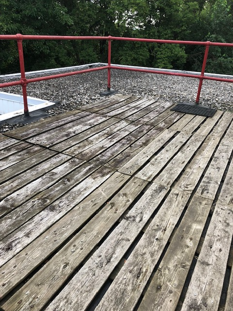 2 Bedroom Renovated apt with parking, laundry & backyard & deck - Photo 9