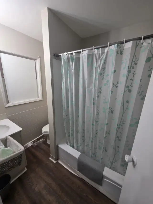 House for Rent - Logan / Keewatin - Photo 4