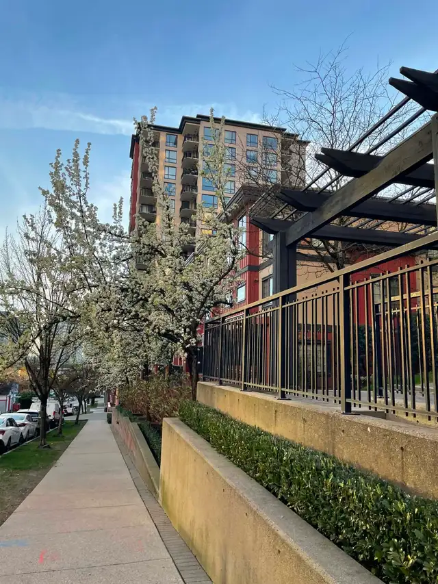 1-bedroom top-floor condo in DT New West - Photo 10