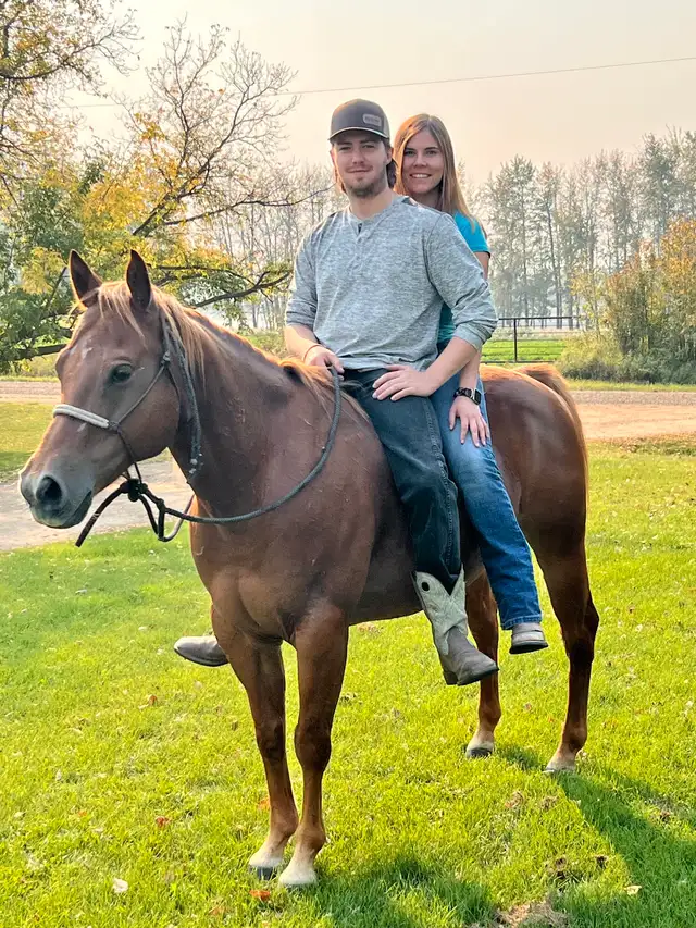 horse training/ hoof trimming - Photo 4