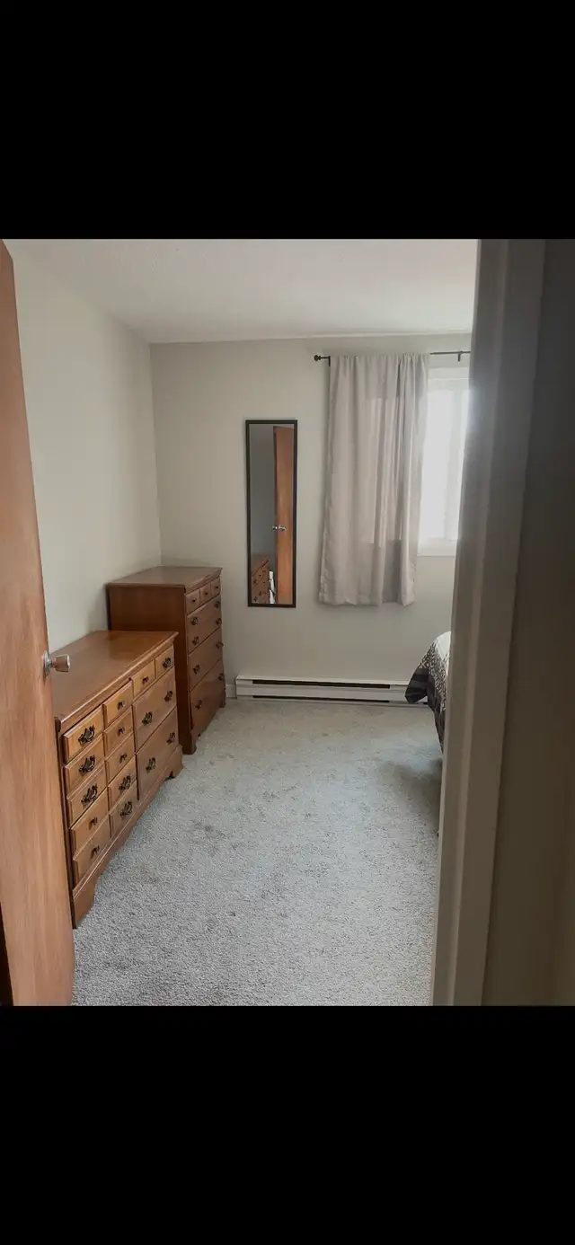 Sublet. One Bedroom. Moray Village - Photo 4