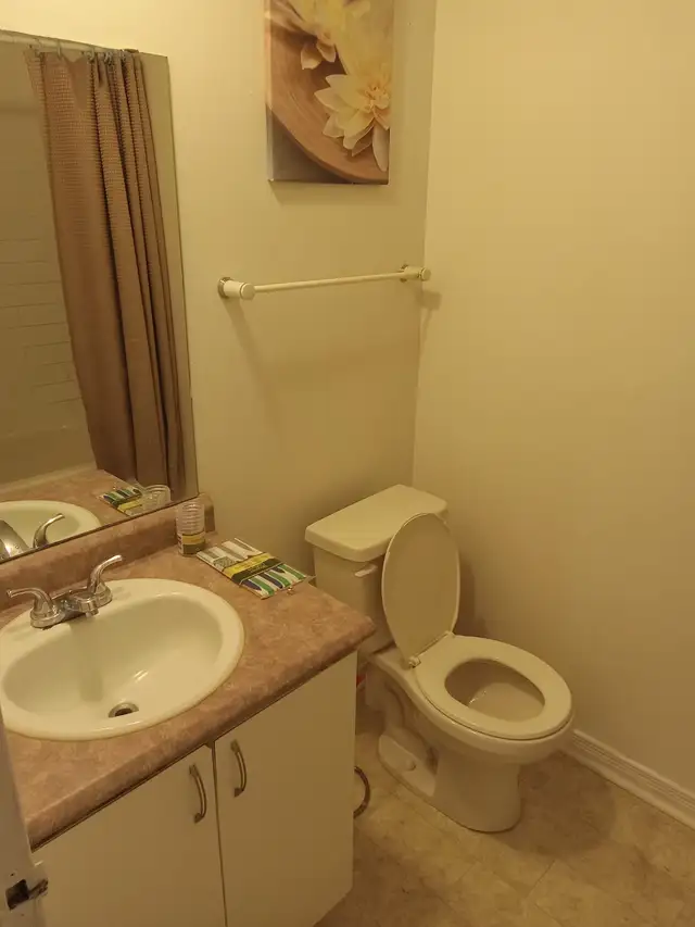 Apt 2 bedrooms Hull,J8Z 1V9,refurbished,10 minutes to down town - Photo 2