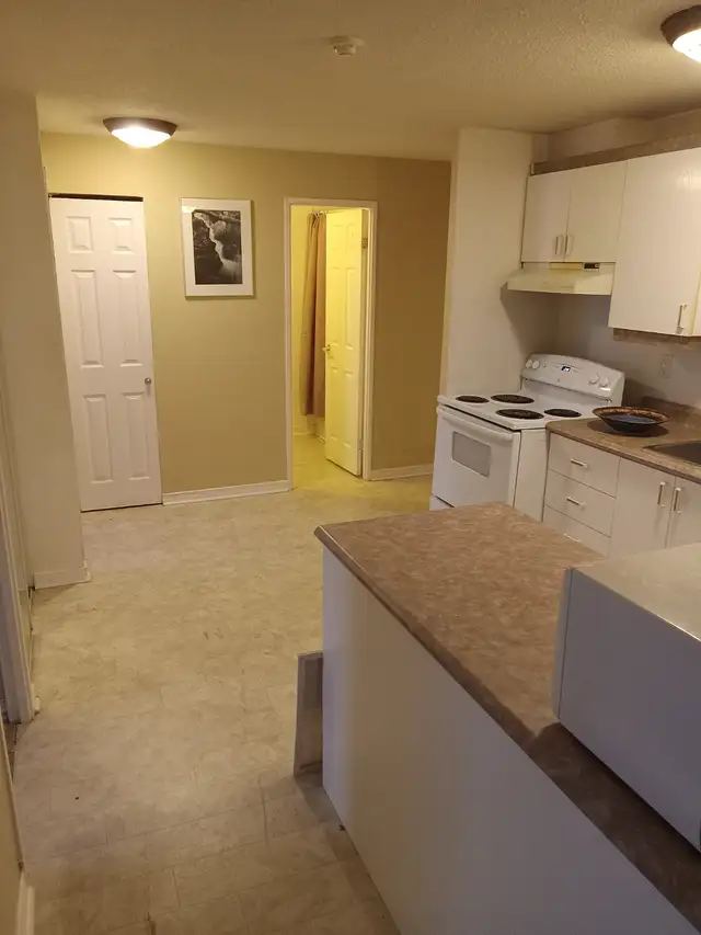 Apt 2 bedrooms Hull,J8Z 1V9,refurbished,10 minutes to down town - Photo 9