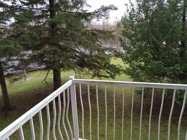 Apt 2 bedrooms Hull,J8Z 1V9,refurbished,10 minutes to down town - Photo 12