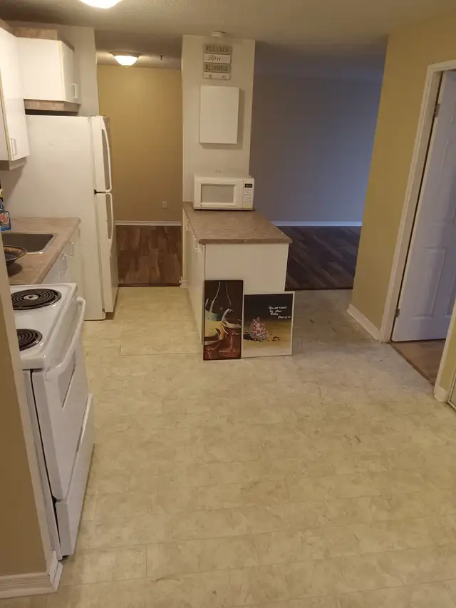 Apt 2 bedrooms Hull,J8Z 1V9,refurbished,10 minutes to down town - Photo 13