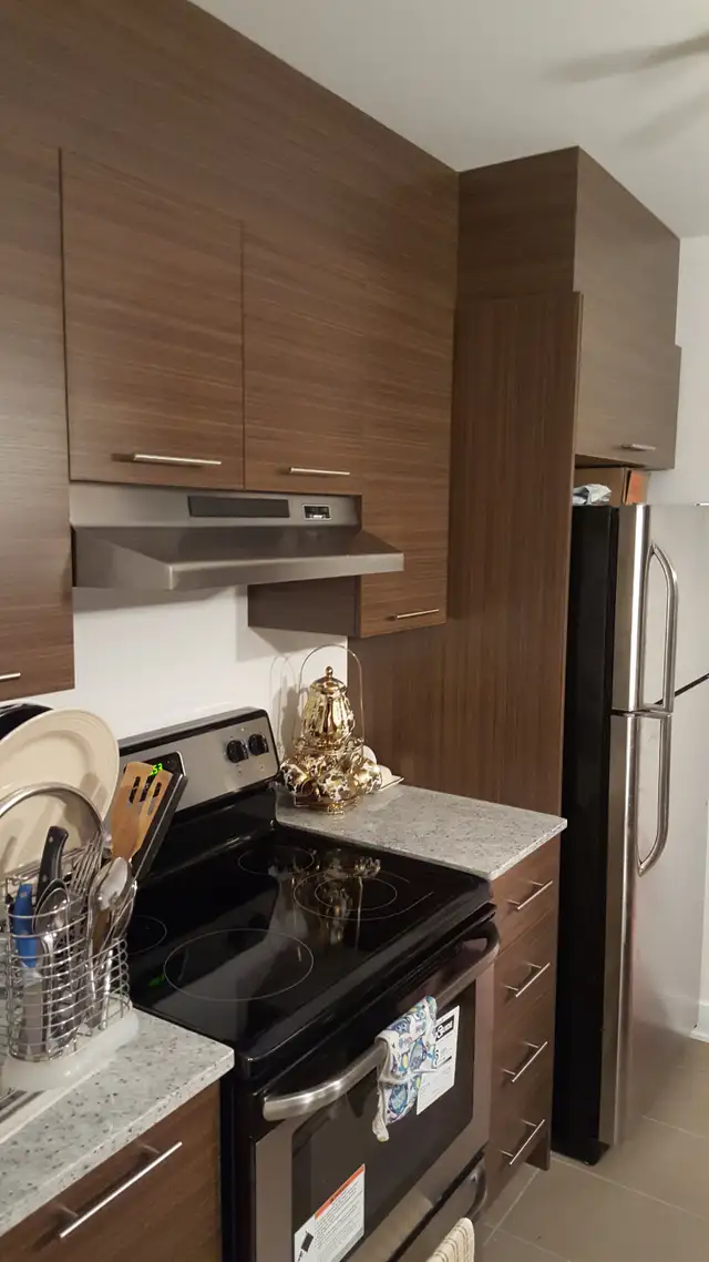 Grand 6 et demi dans un Condominum à louer - Photo 19