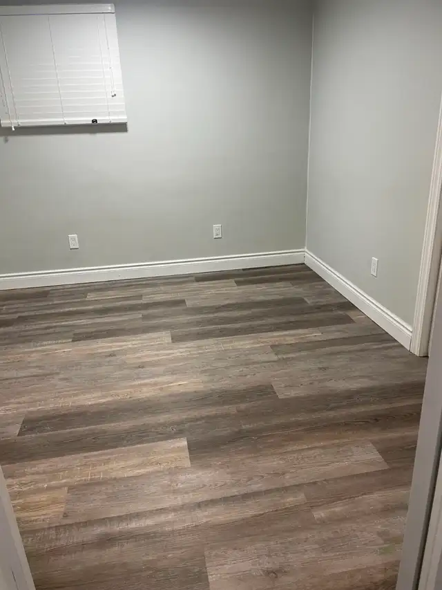 Beautiful 2 bedrooms, 1 bath lower level unit - utility included - Photo 4