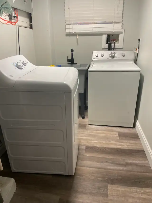 Beautiful 2 bedrooms, 1 bath lower level unit - utility included - Photo 10