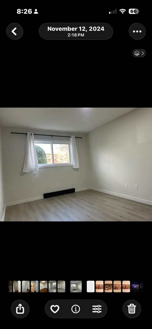 Newly Renovated 2 Bed 1 Bath Unit - Photo 3