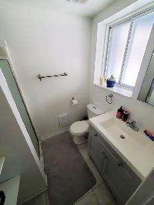 Large spacious bright 3 1/2 and 4 1/2 apt. in Sainte-Anne