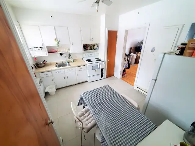 Large spacious bright 3 1/2 and 4 1/2 apt. in Sainte-Anne - Photo 6