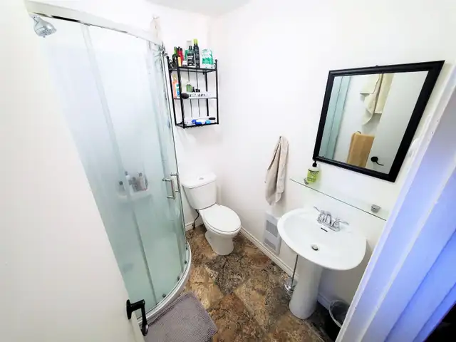 Large spacious bright 3 1/2 and 4 1/2 apt. in Sainte-Anne - Photo 9