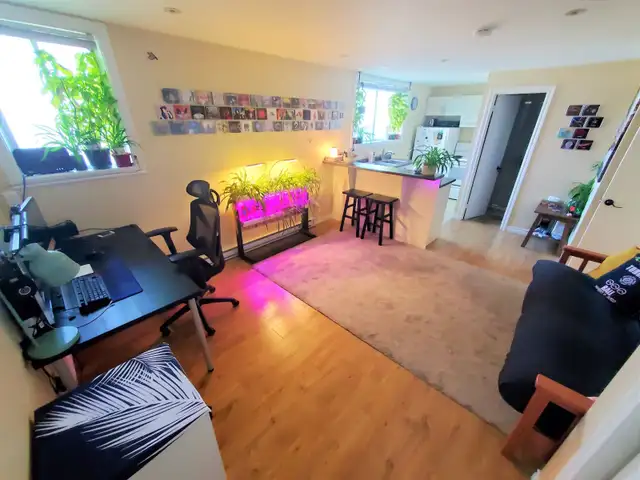 Large spacious bright 3 1/2 and 4 1/2 apt. in Sainte-Anne - Photo 22