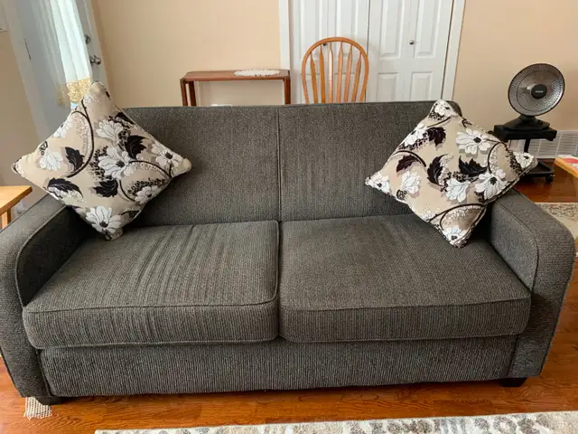 Custom Hide-a-Bed for sale