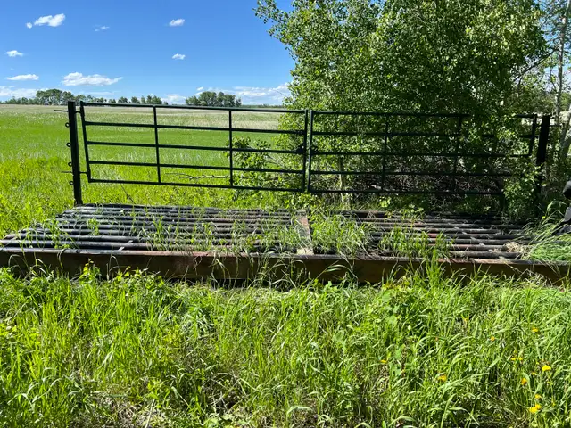 HEAVY DUTY TEXAS GATE