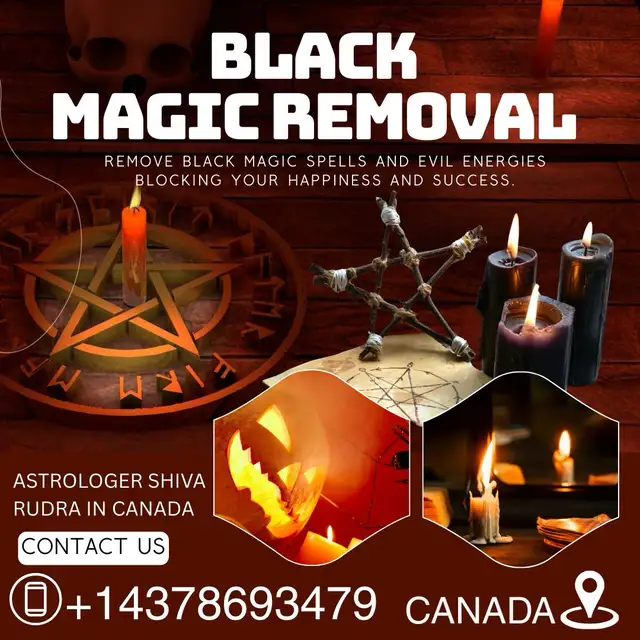 Best | Top Astrologer | Spiritual Healer In Toronto - Photo 2