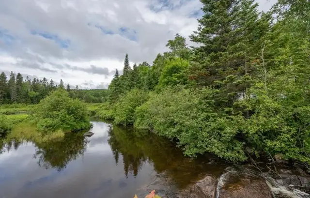 maison de campagne bord de l’eau - Photo 4