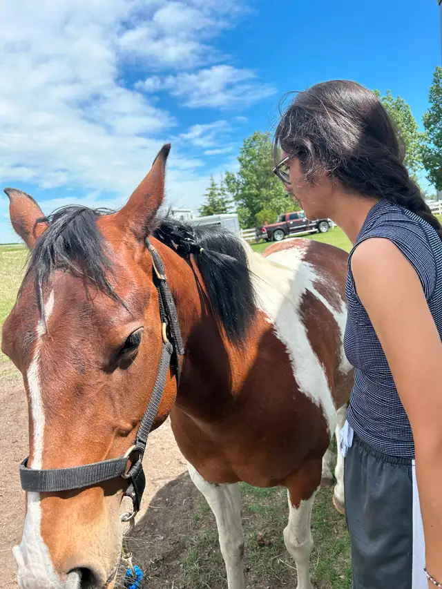Another Graham Ranch Mustang By Sandy For Sale - Photo 7