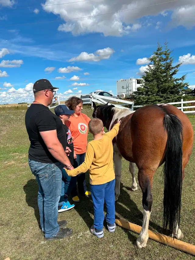 Another Graham Ranch Mustang By Sandy For Sale - Photo 8