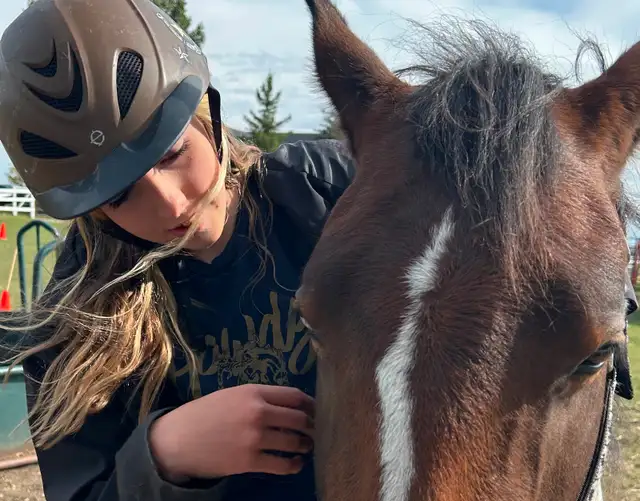 Another Graham Ranch Mustang By Sandy For Sale - Photo 9