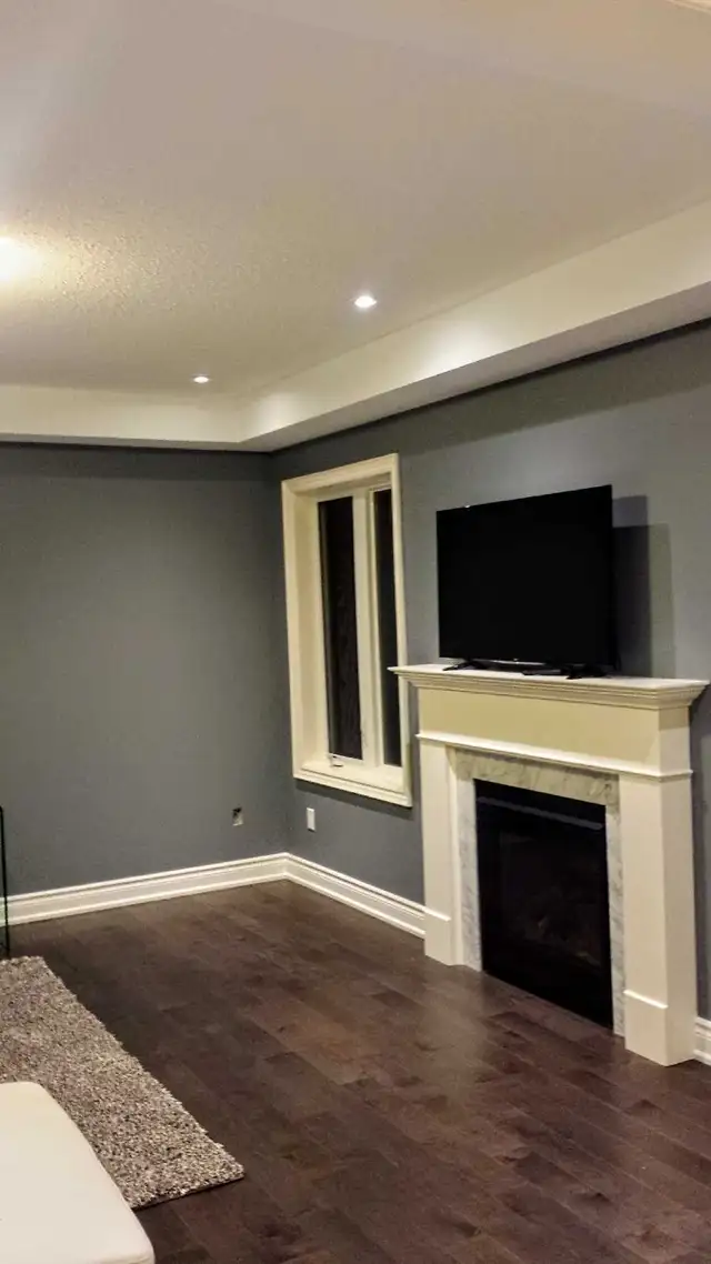 handyman/mover - Photo 6