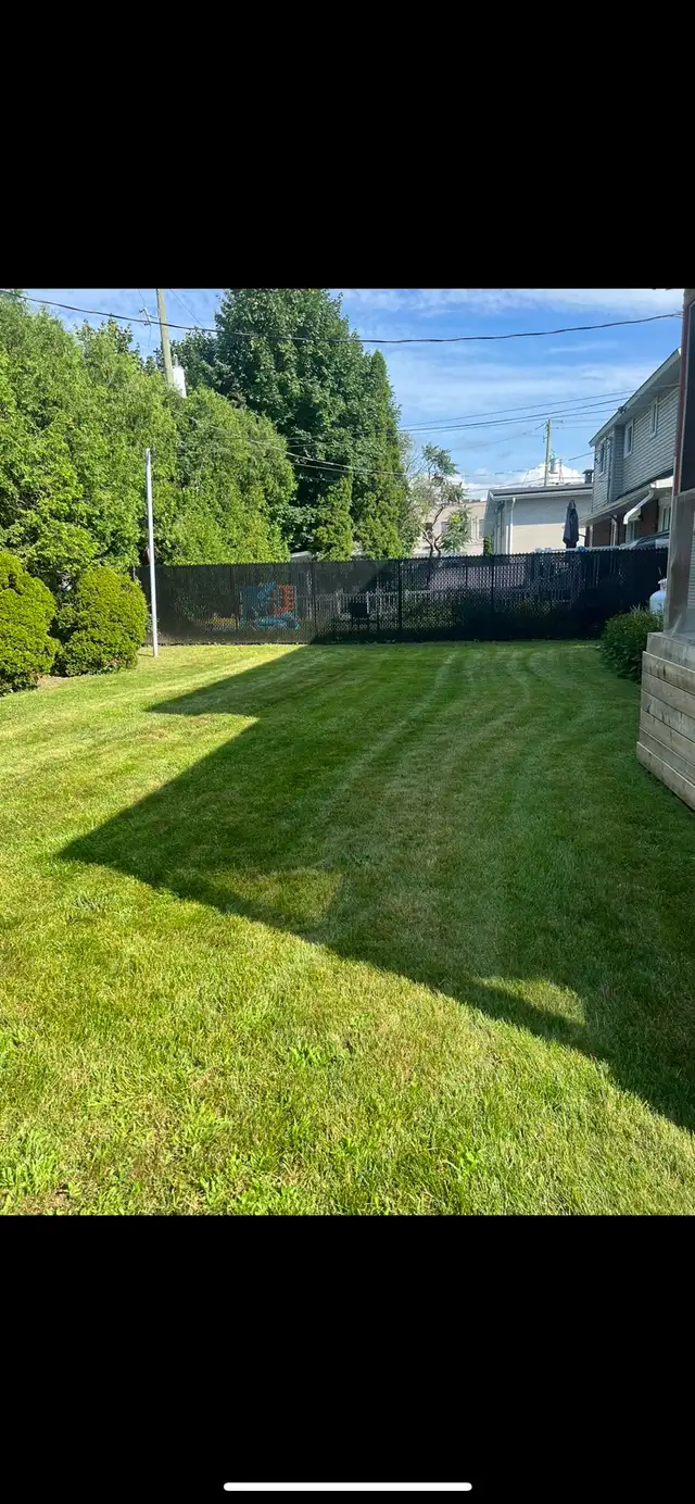 coupe de gazon // lawn mowing - Photo 3