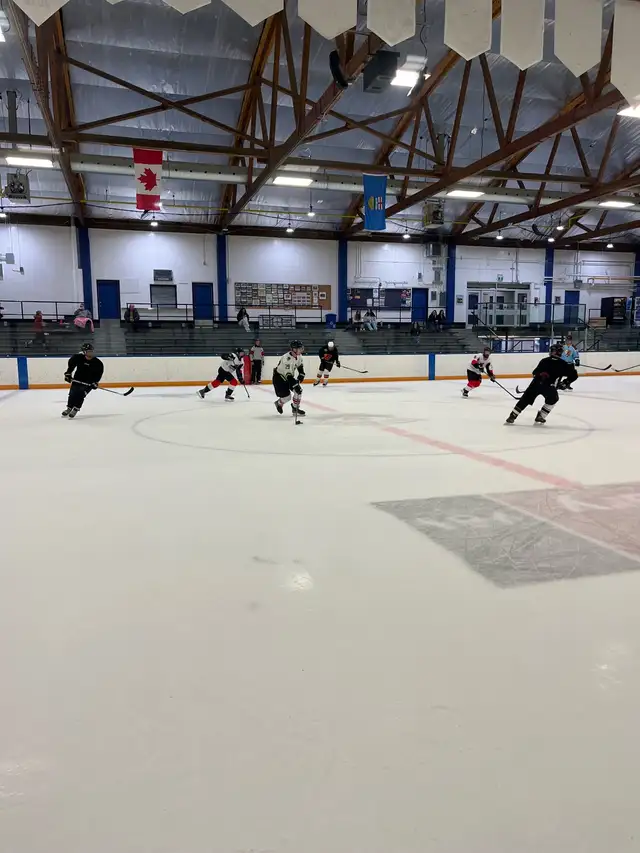 Shinny Hockey Skaters Wanted. Reffed Games!