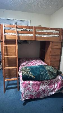 Solid Wood Loft Bed w/ Desk   8 Drawers   3 Shelves