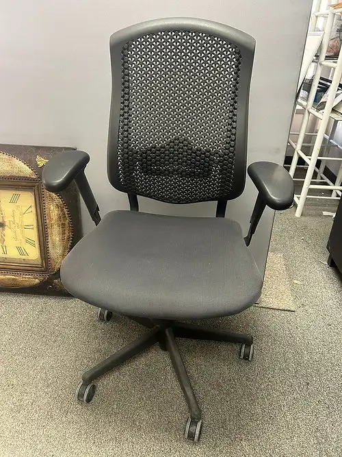 Herman Miller Celle Chair!