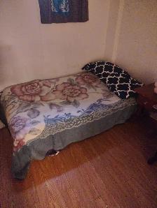 furnished room in bright basement in Markham